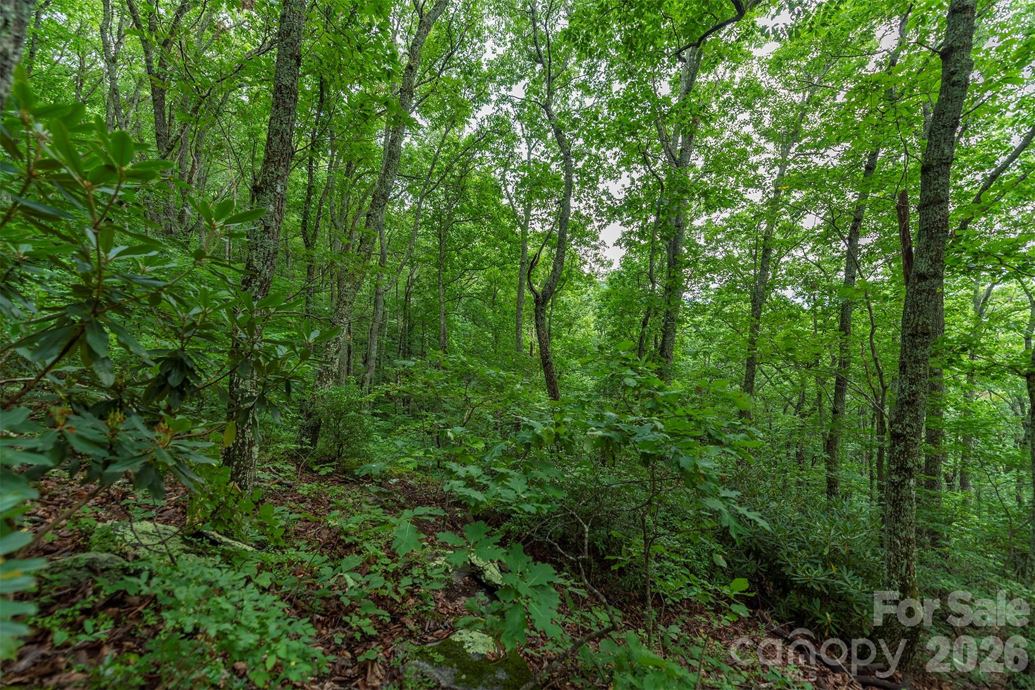 Tbd Summer Haven Road Swannanoa NC 28778