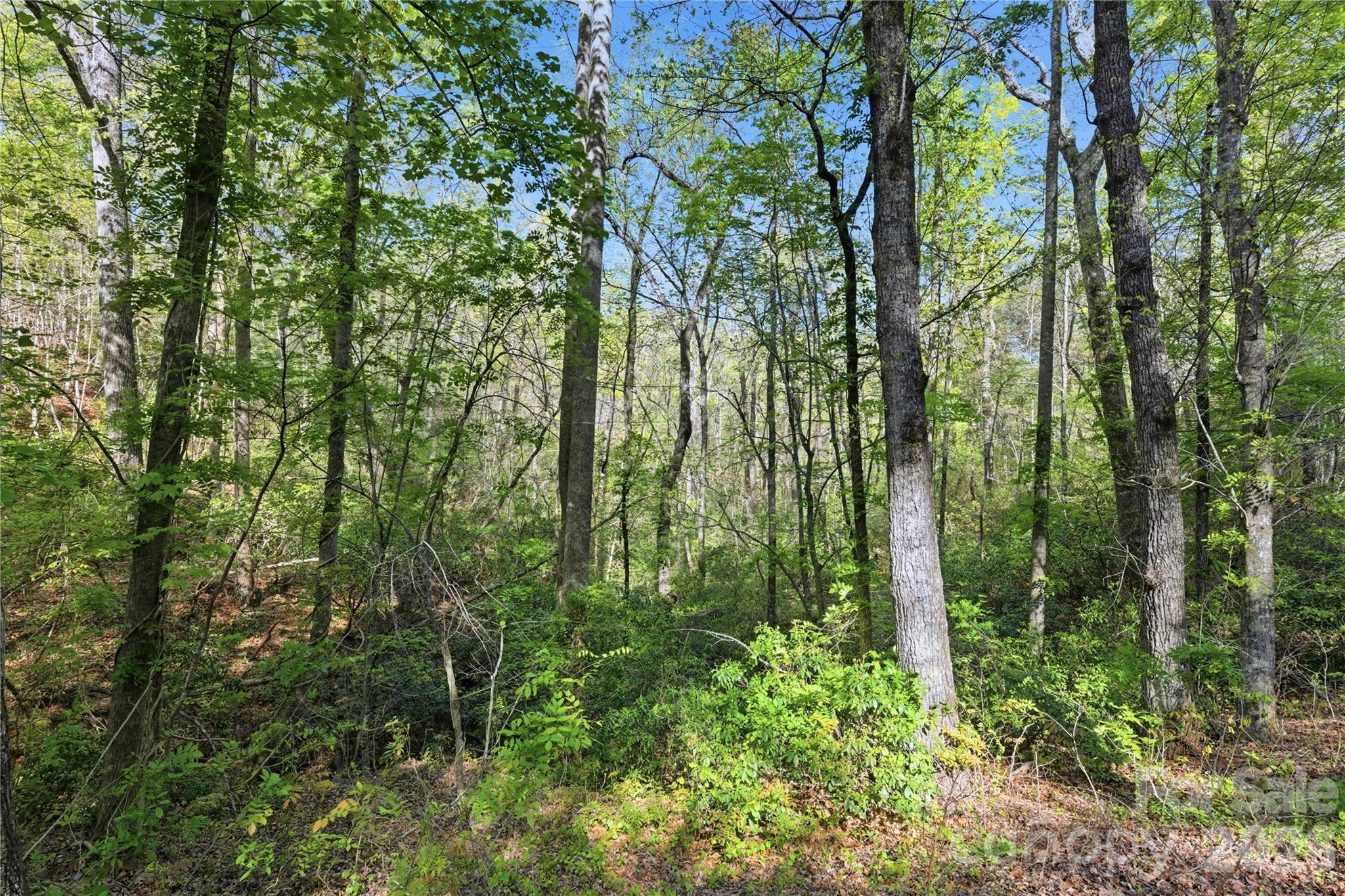 0 Wolf Trail Lake Lure NC 28746