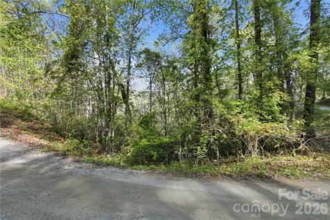 0 Wolf Trail Lake Lure NC 28746