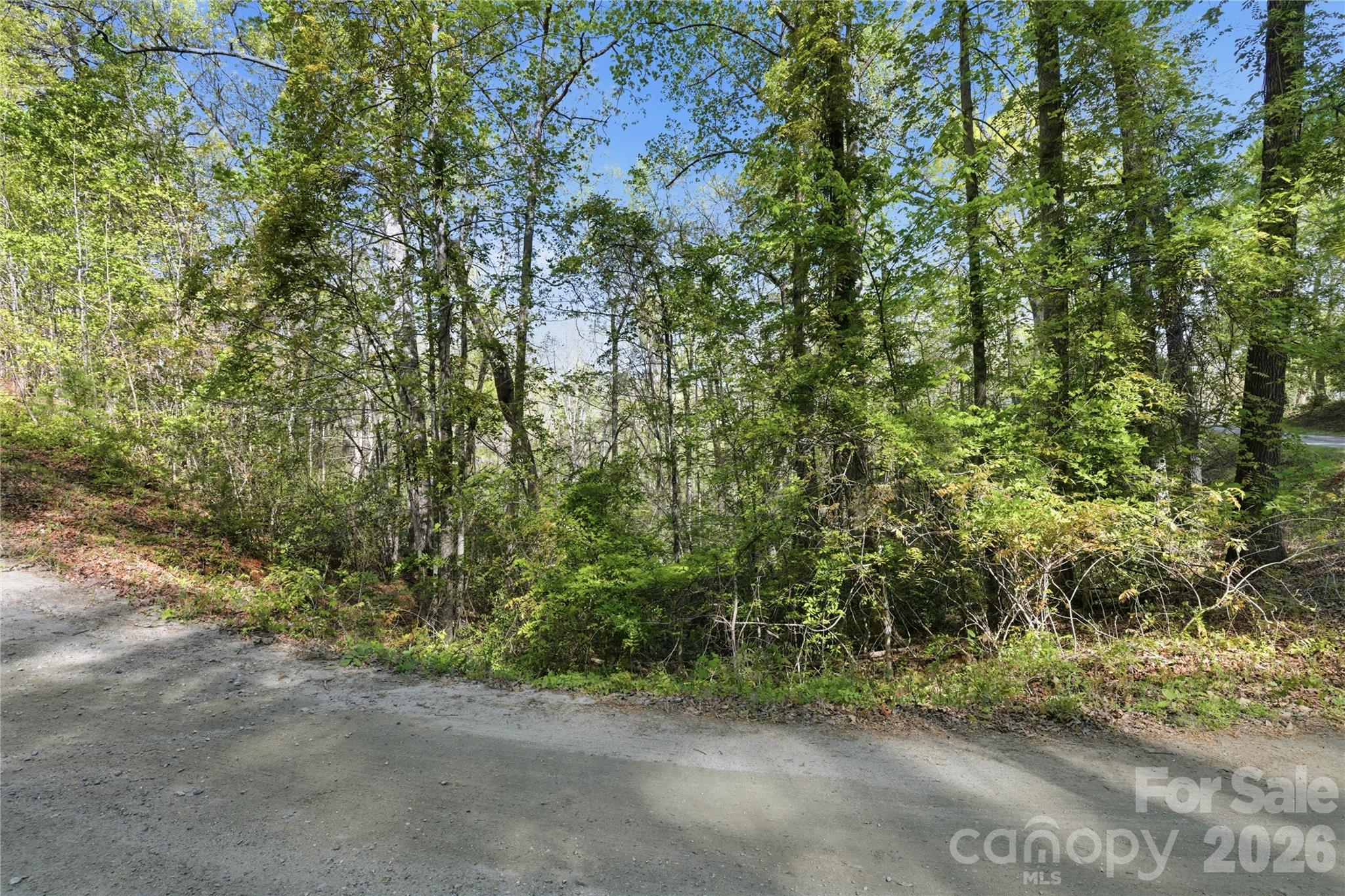 0 Wolf Trail Lake Lure NC 28746