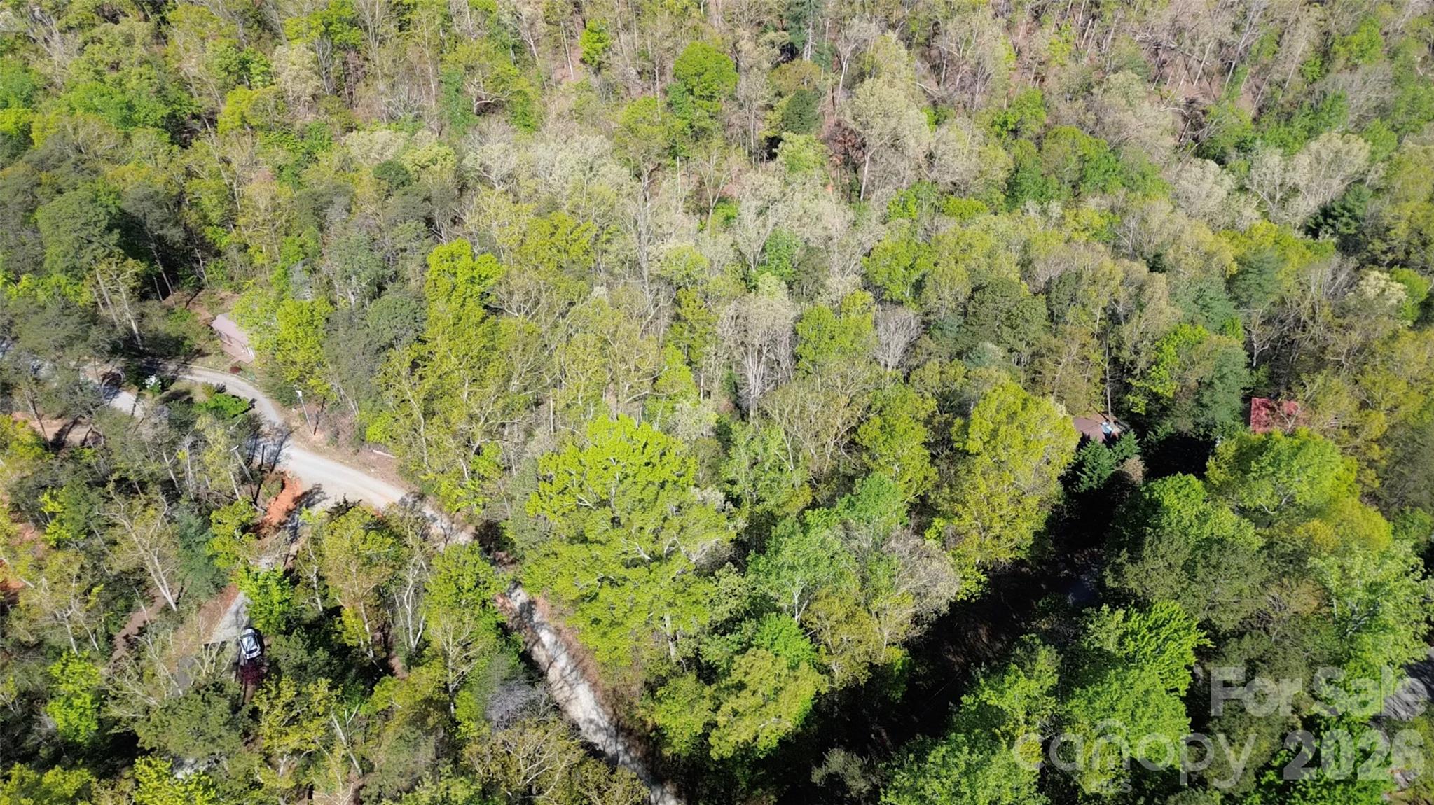 0 Wolf Trail Lake Lure NC 28746