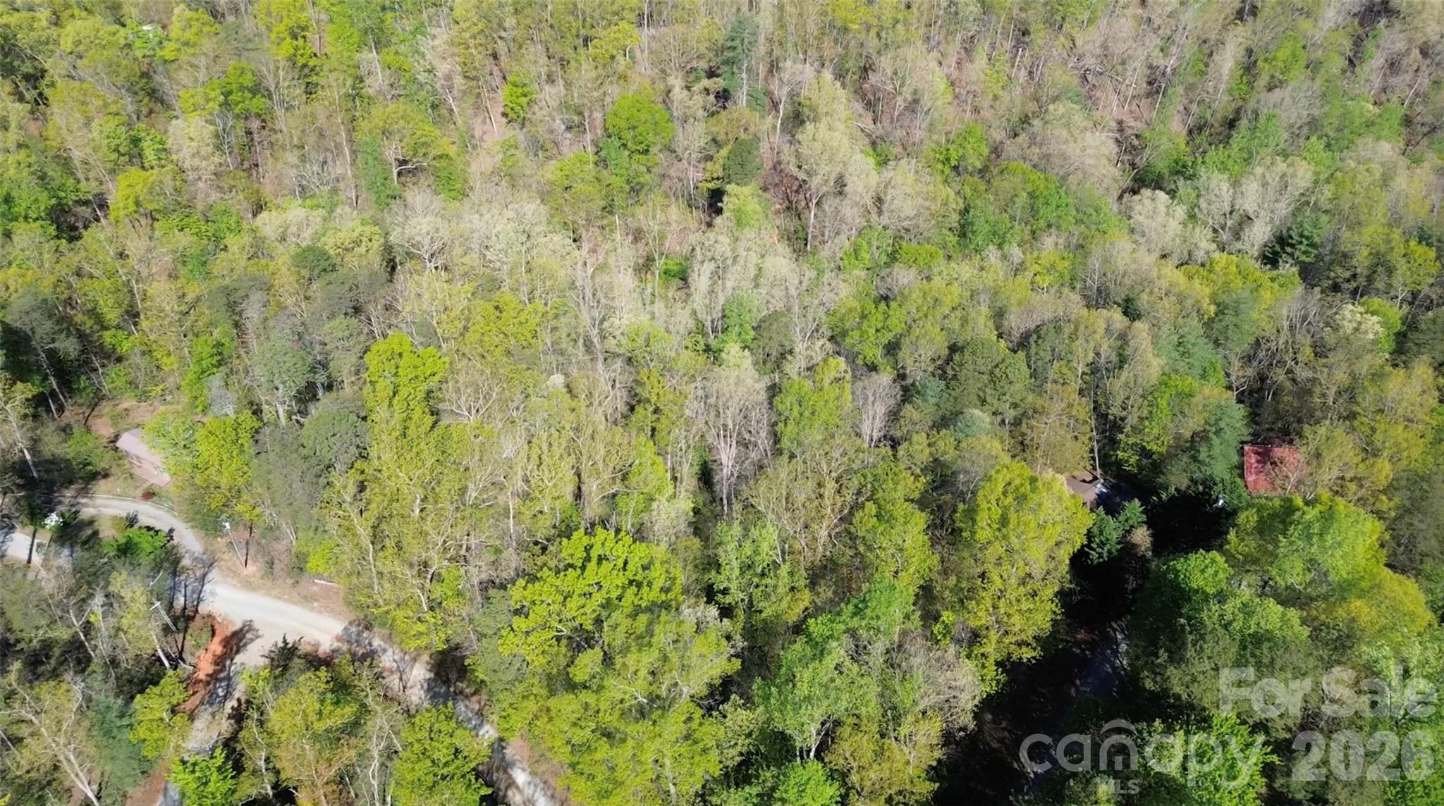 0 Wolf Trail Lake Lure NC 28746
