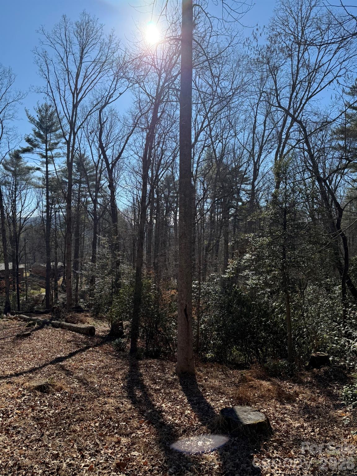 9999 Rockbrook Overlook Brevard NC 28712