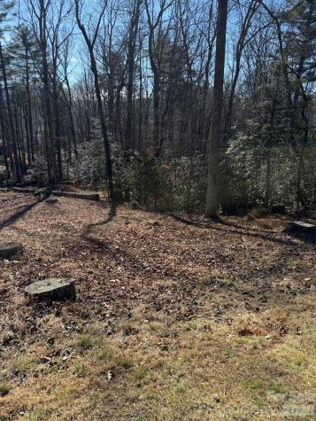 9999 Rockbrook Overlook Brevard NC 28712