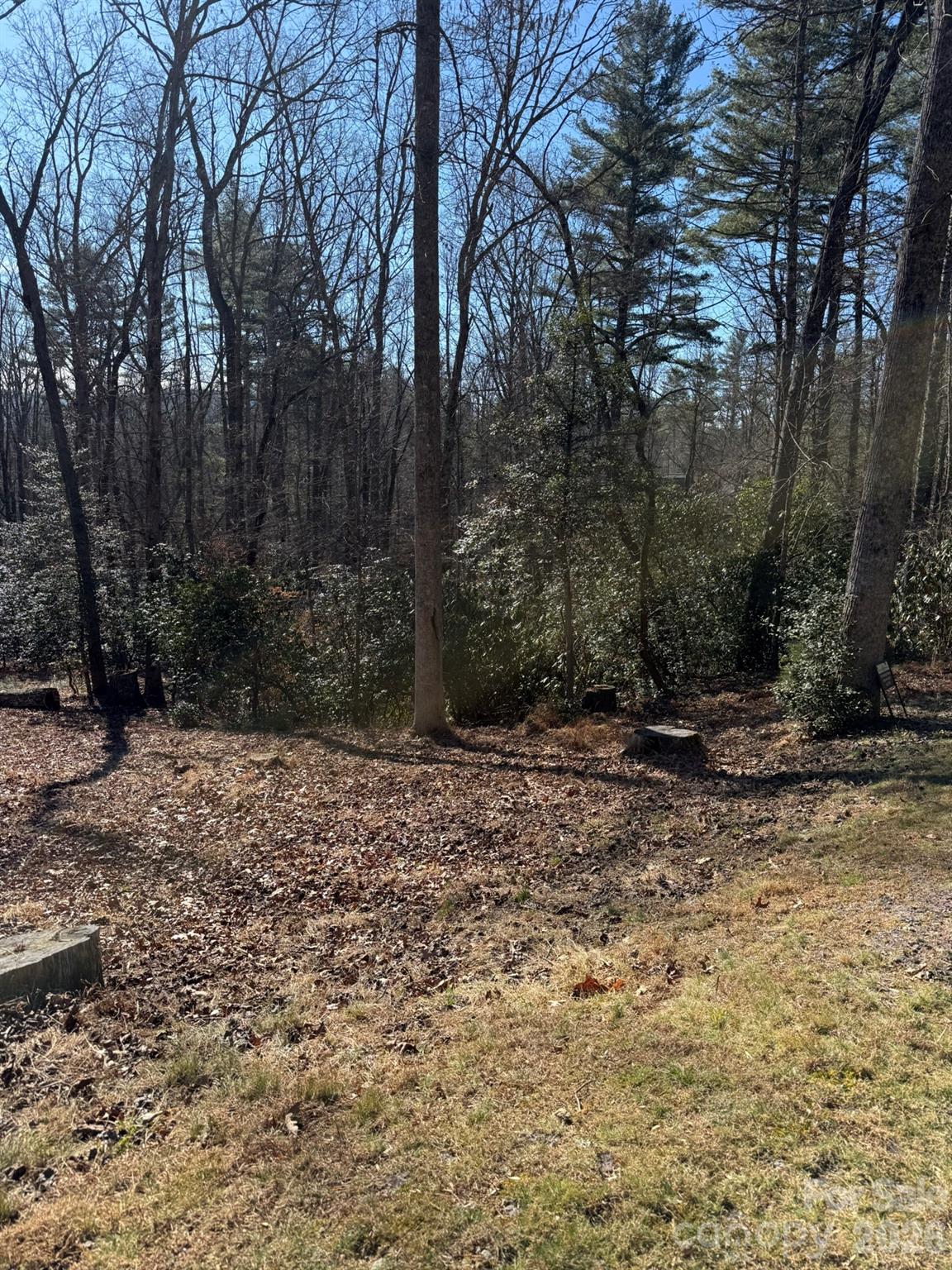 9999 Rockbrook Overlook Brevard NC 28712