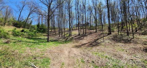 31 Sweet Fern Parkway Asheville NC 28804