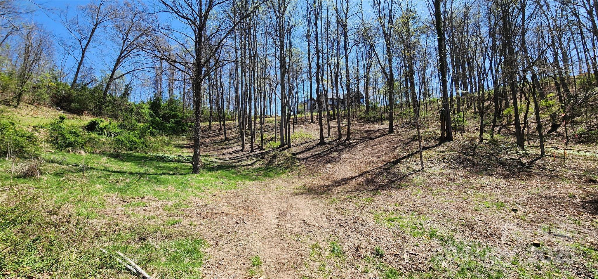 31 Sweet Fern Parkway Asheville NC 28804