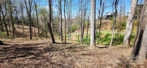 31 Sweet Fern Parkway Asheville NC 28804