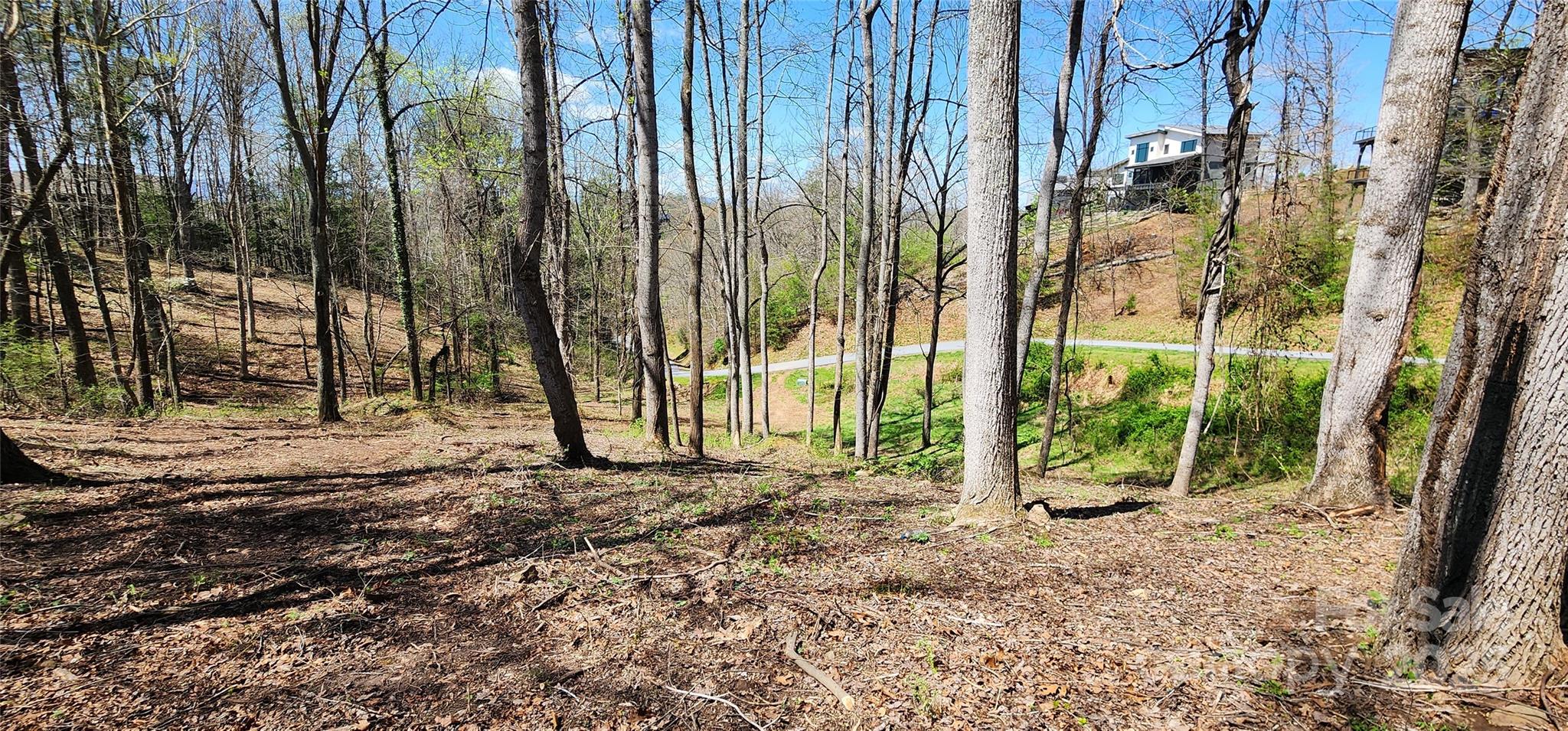 31 Sweet Fern Parkway Asheville NC 28804
