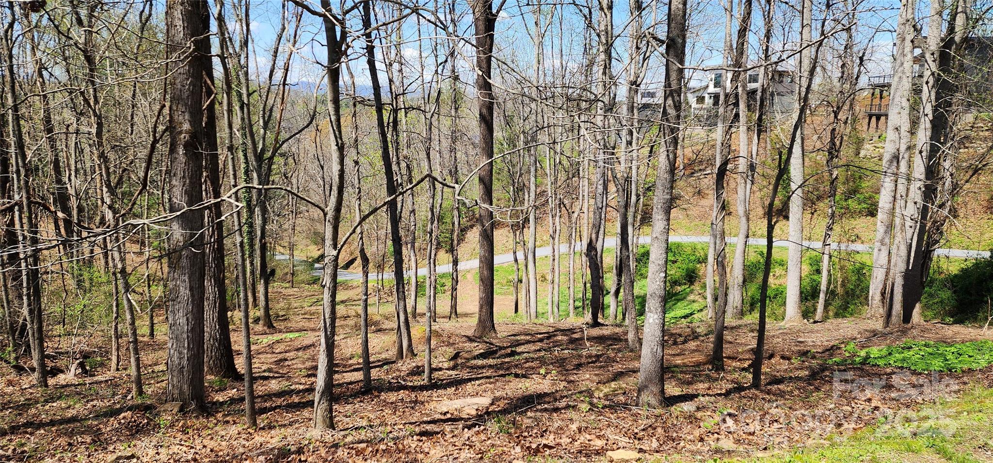 31 Sweet Fern Parkway Asheville NC 28804