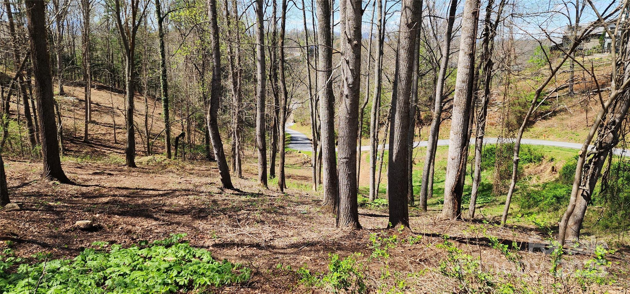 31 Sweet Fern Parkway Asheville NC 28804