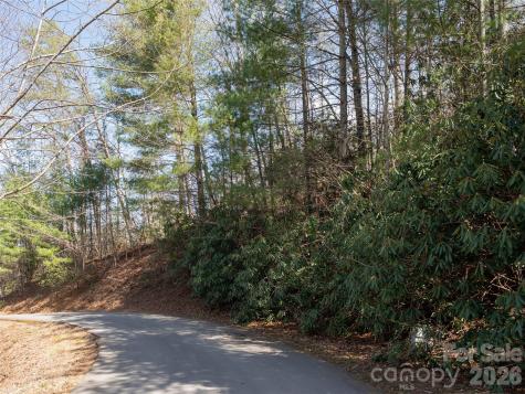 99999 Okoboji Drive Fletcher NC 28732