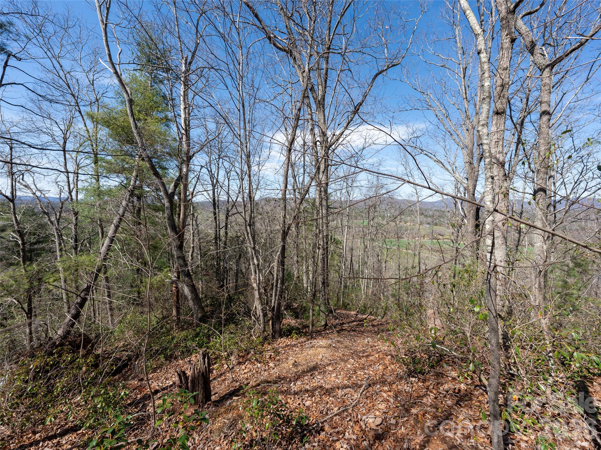 99999 Okoboji Drive Fletcher NC 28732