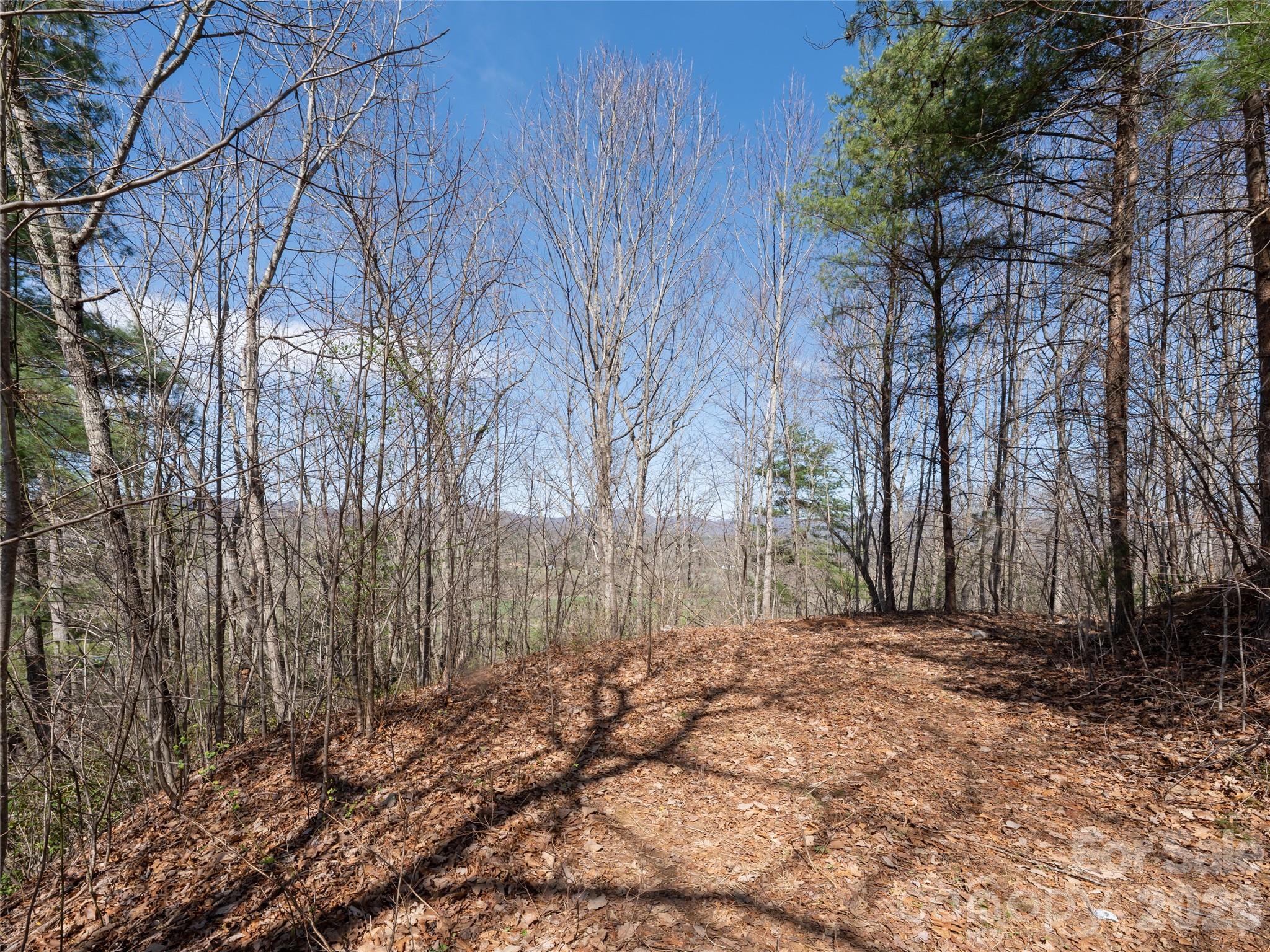 99999 Okoboji Drive Fletcher NC 28732