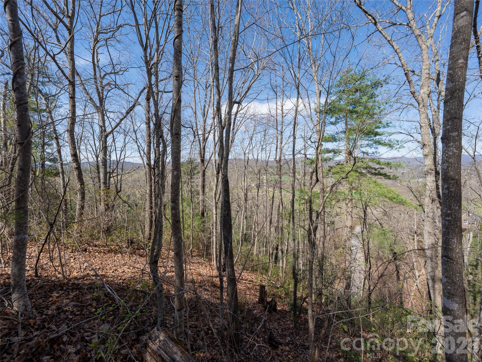 99999 Okoboji Drive Fletcher NC 28732