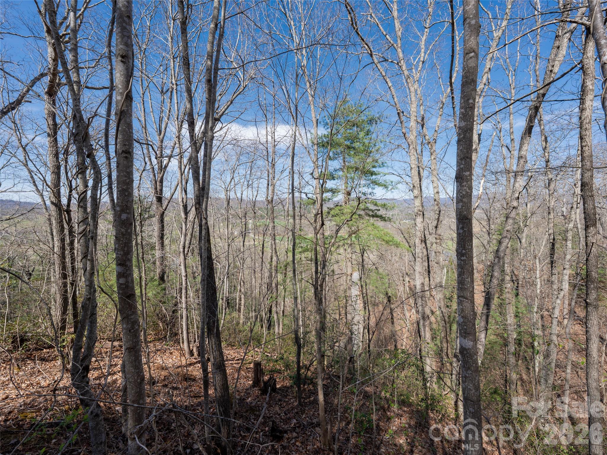 99999 Okoboji Drive Fletcher NC 28732