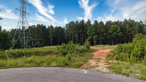 6265 Sanders Landing Lane Clover SC 29710