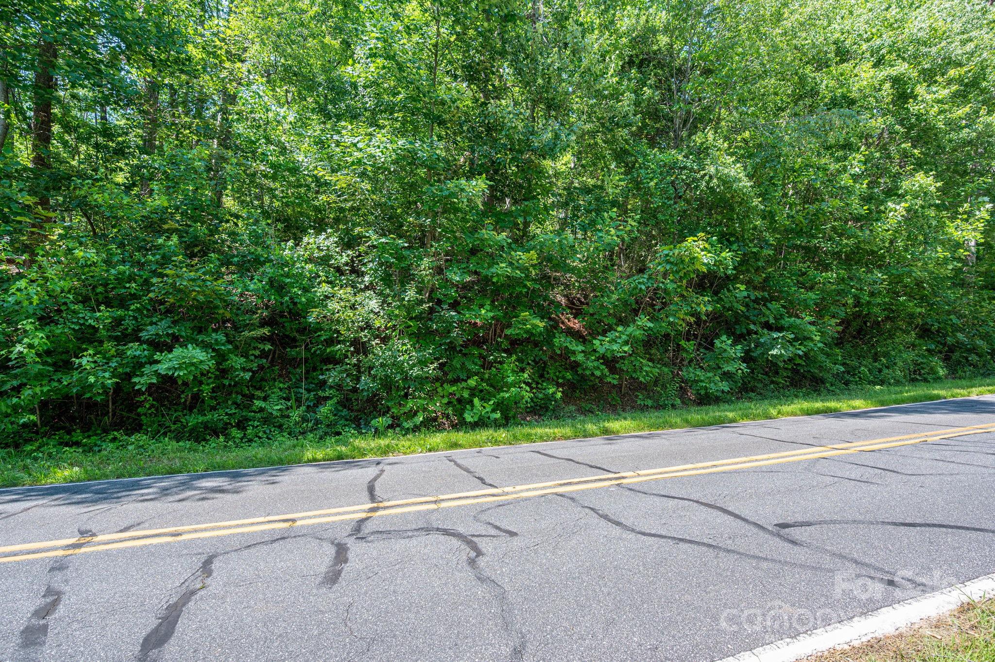 Lot 2 Cleghorn Mill Road Rutherfordton NC 28139