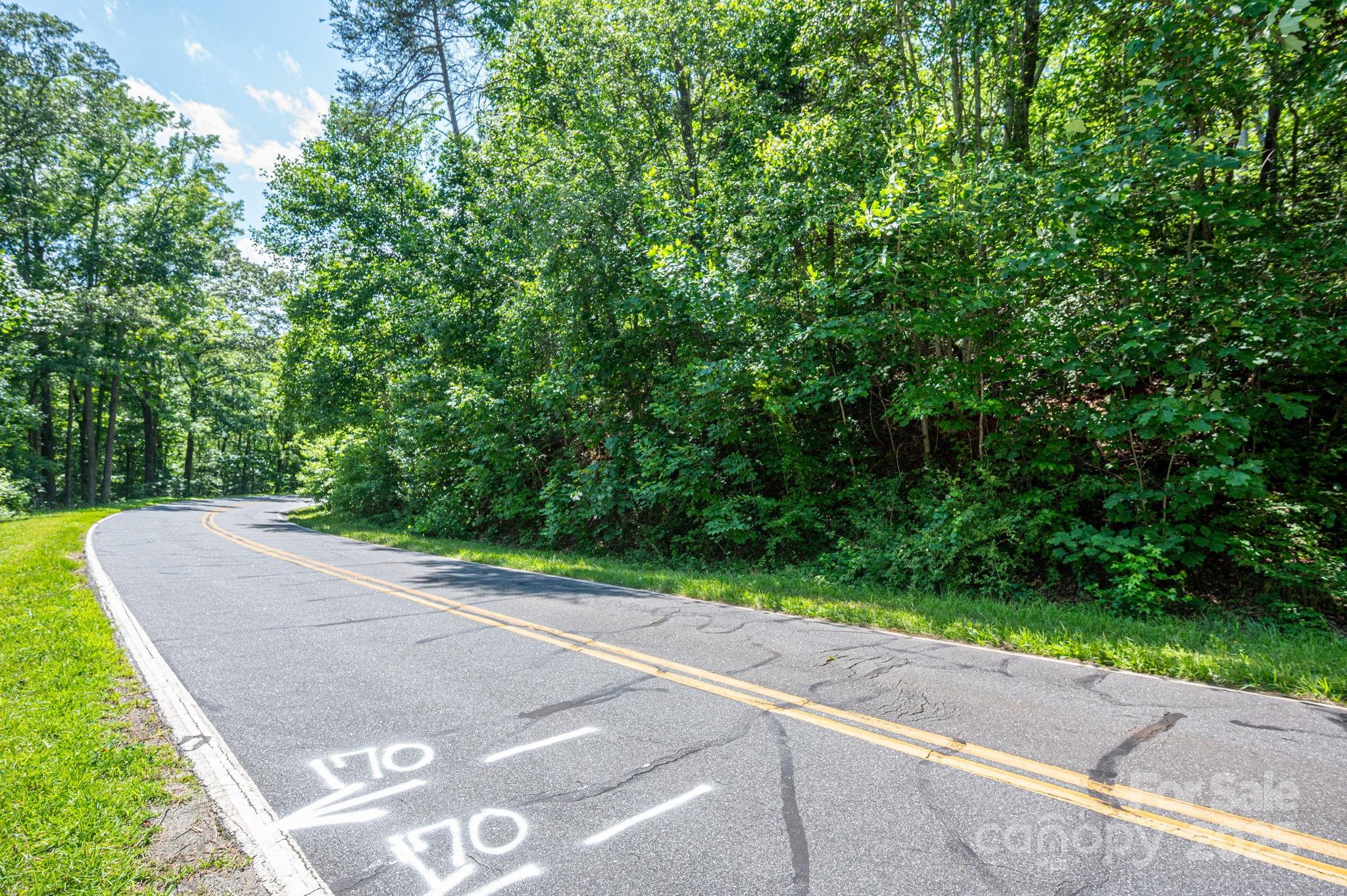 Lot 2 Cleghorn Mill Road Rutherfordton NC 28139