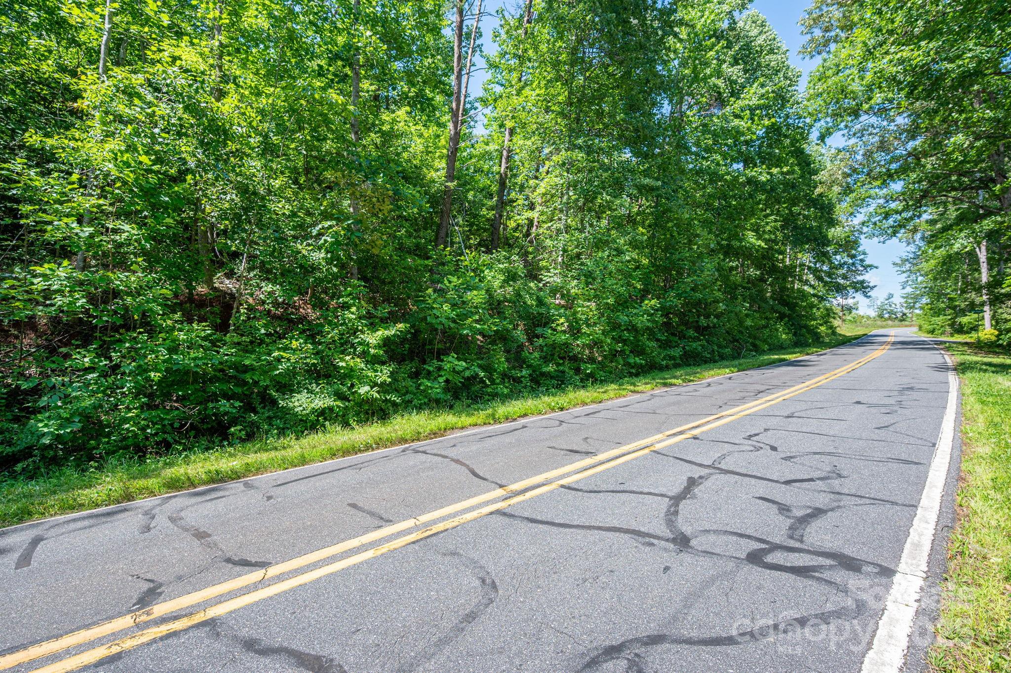 Lot 2 Cleghorn Mill Road Rutherfordton NC 28139
