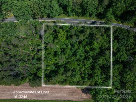 Lot 2 Cleghorn Mill Road Rutherfordton NC 28139