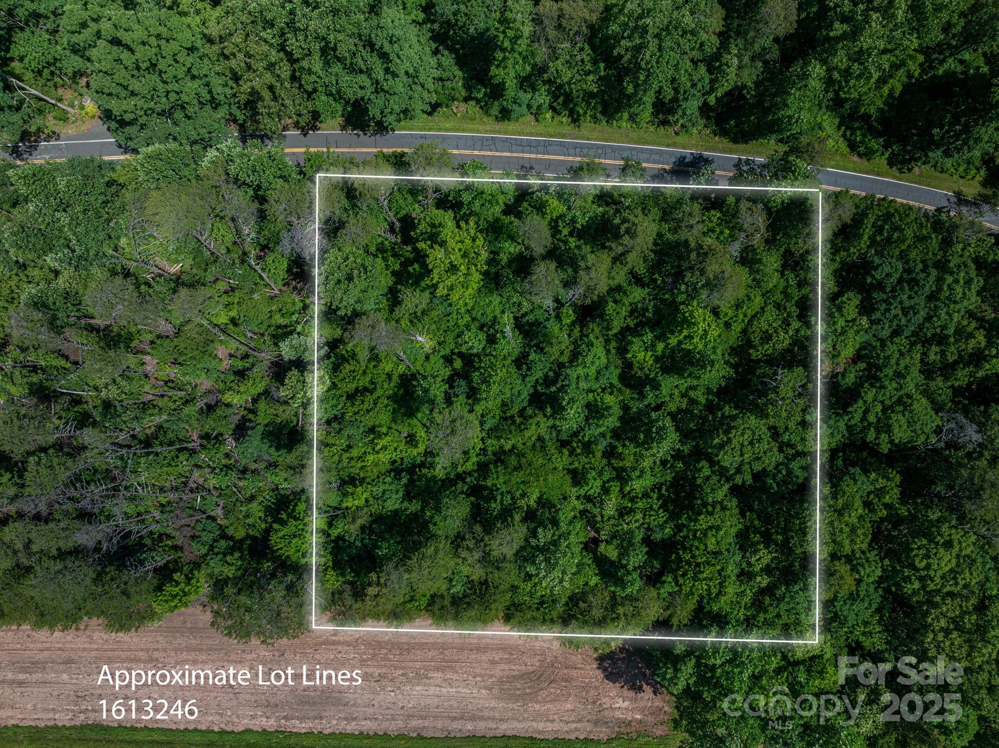 Lot 2 Cleghorn Mill Road Rutherfordton NC 28139
