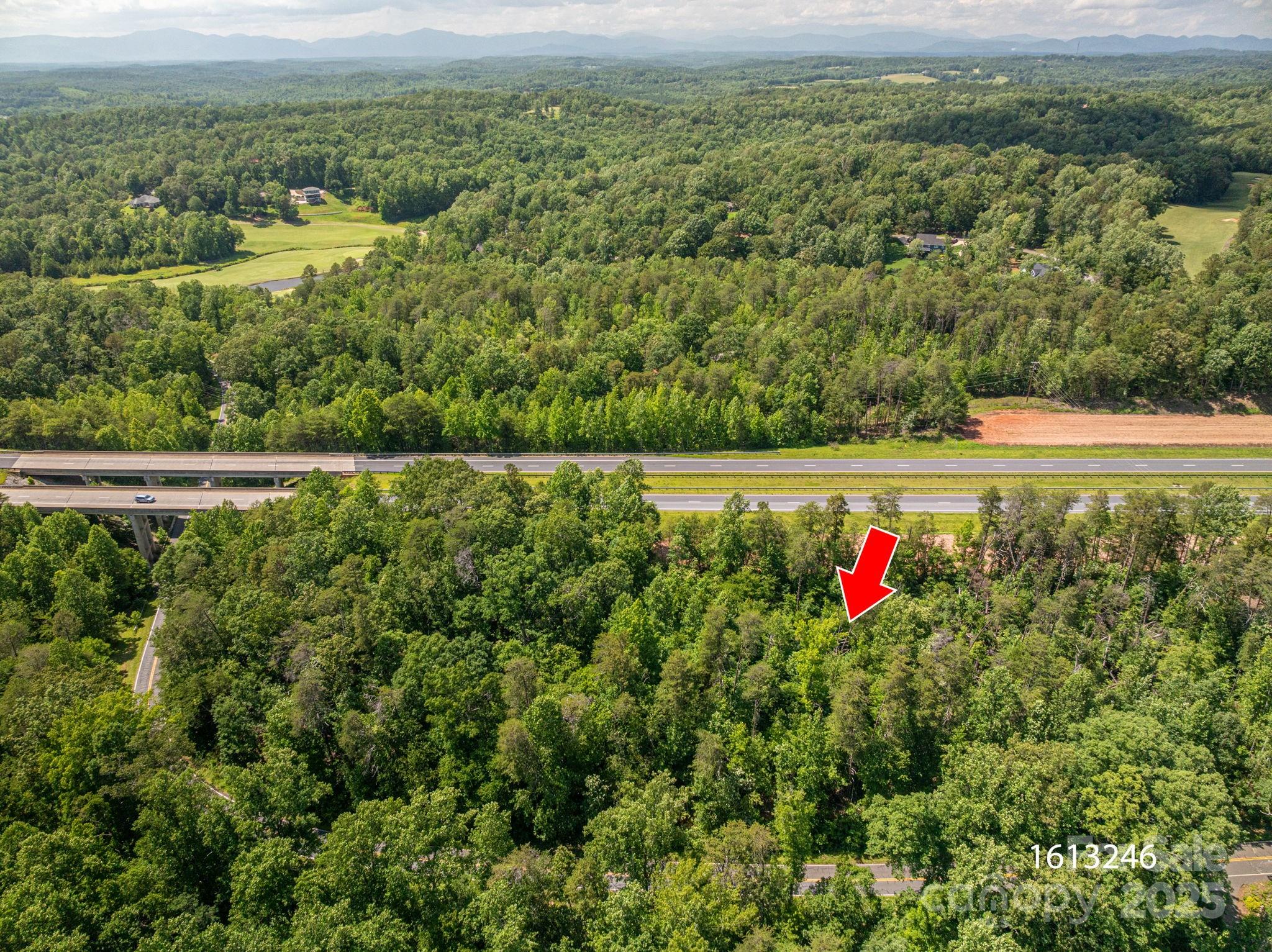 Lot 2 Cleghorn Mill Road Rutherfordton NC 28139