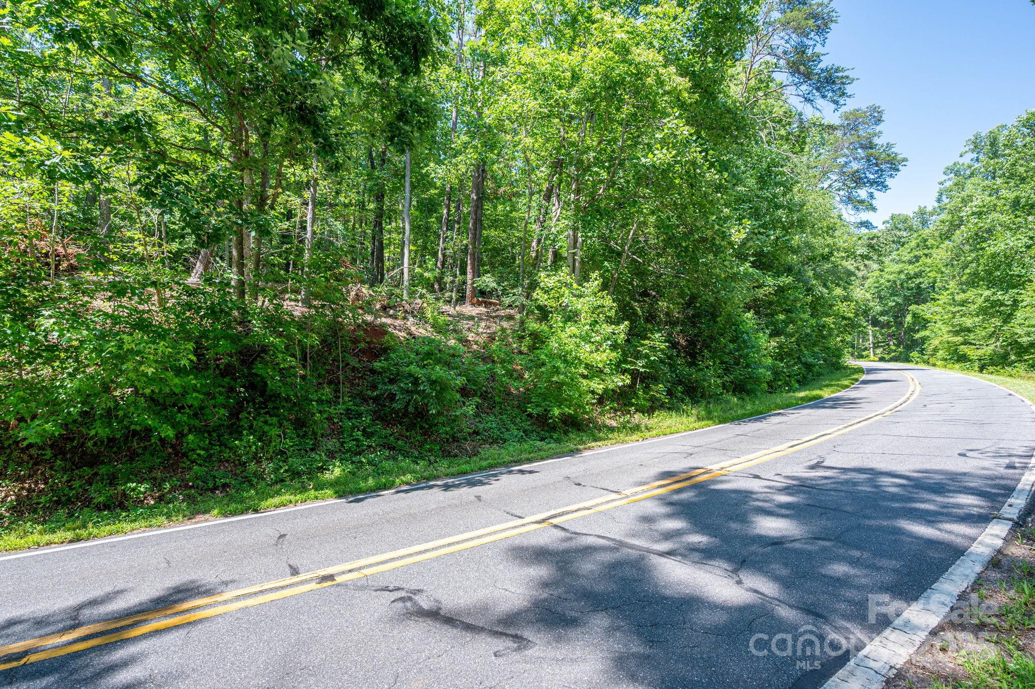 Lot 2 Cleghorn Mill Road Rutherfordton NC 28139