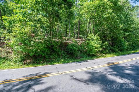 Lot 2 Cleghorn Mill Road Rutherfordton NC 28139