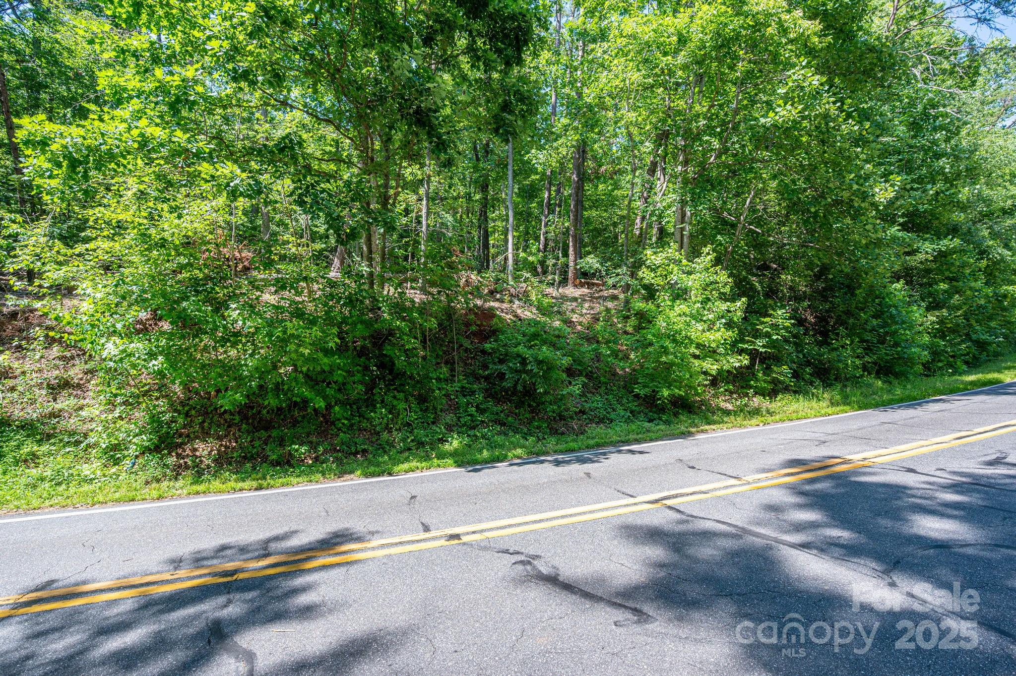 Lot 2 Cleghorn Mill Road Rutherfordton NC 28139
