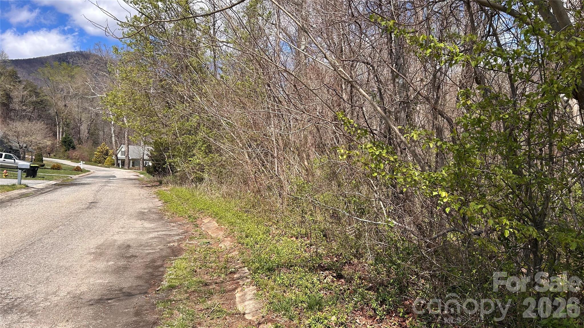 0 Lynnbrook Way Columbus NC 28722