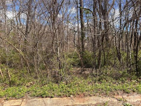 0 Lynnbrook Way Columbus NC 28722