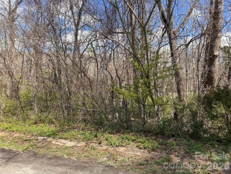 0 Lynnbrook Way Columbus NC 28722