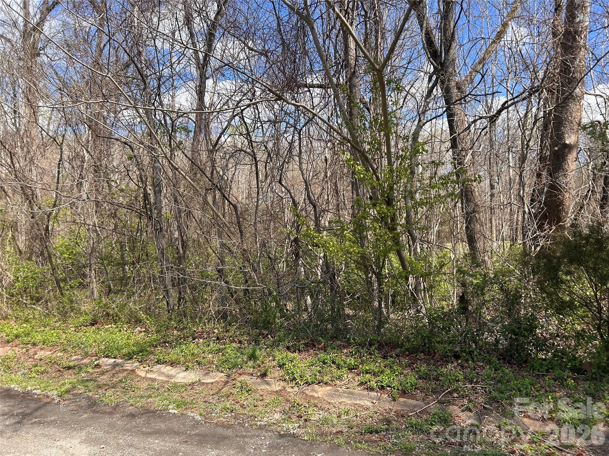 0 Lynnbrook Way Columbus NC 28722