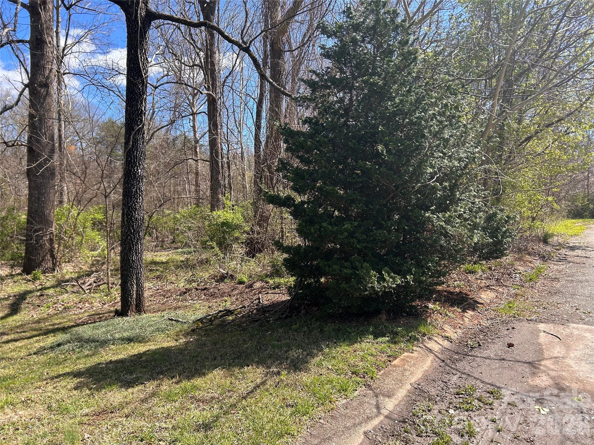 0 Lynnbrook Way Columbus NC 28722