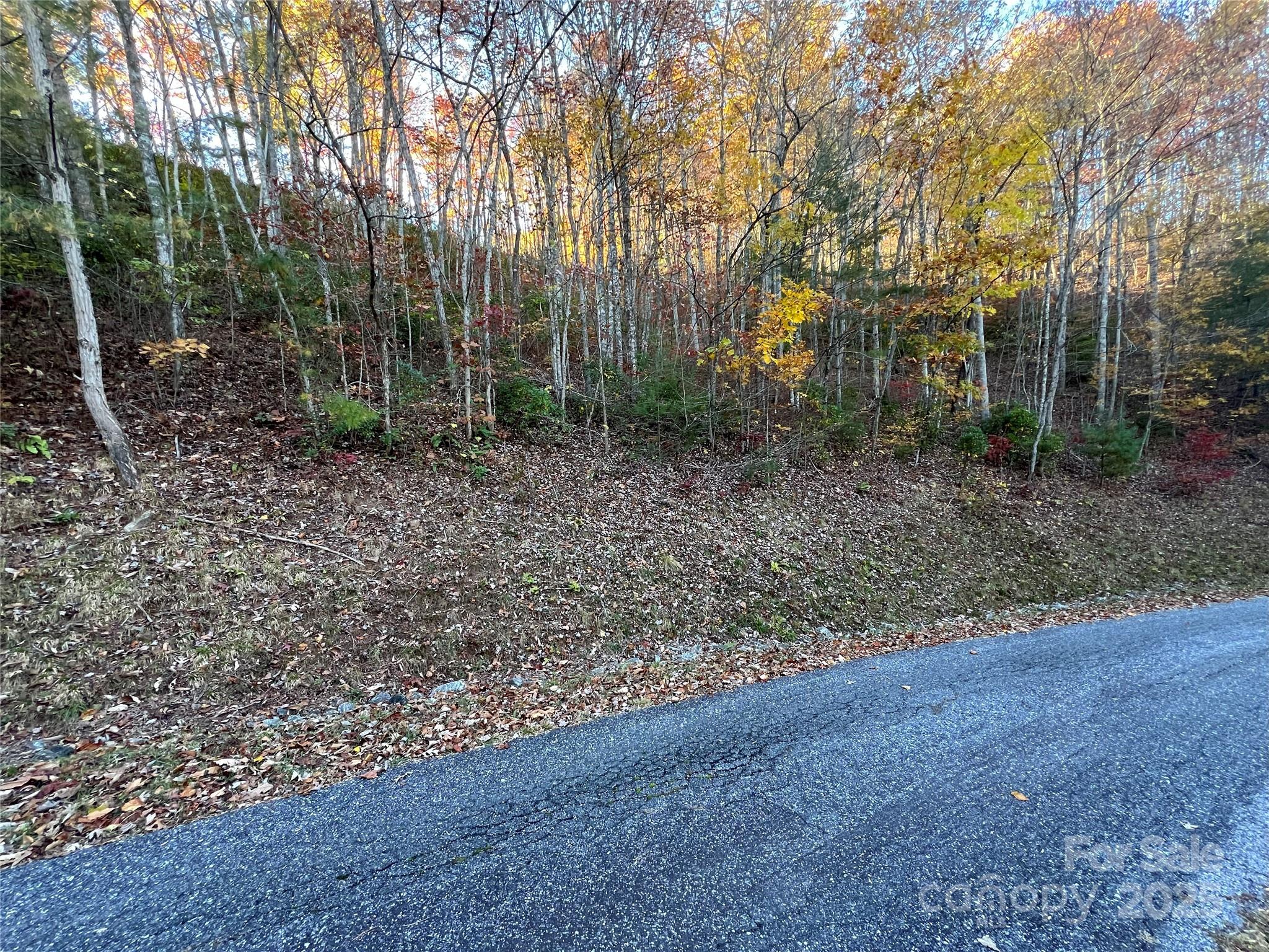 Lot 66 Musket Drive Almond NC 28702