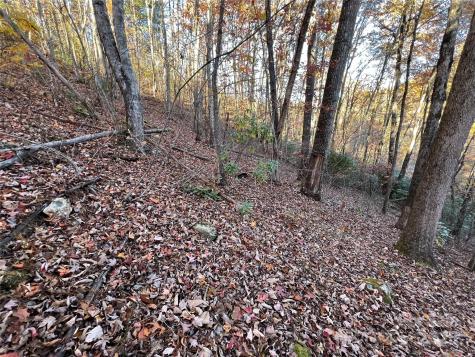 Lot 66 Musket Drive Almond NC 28702