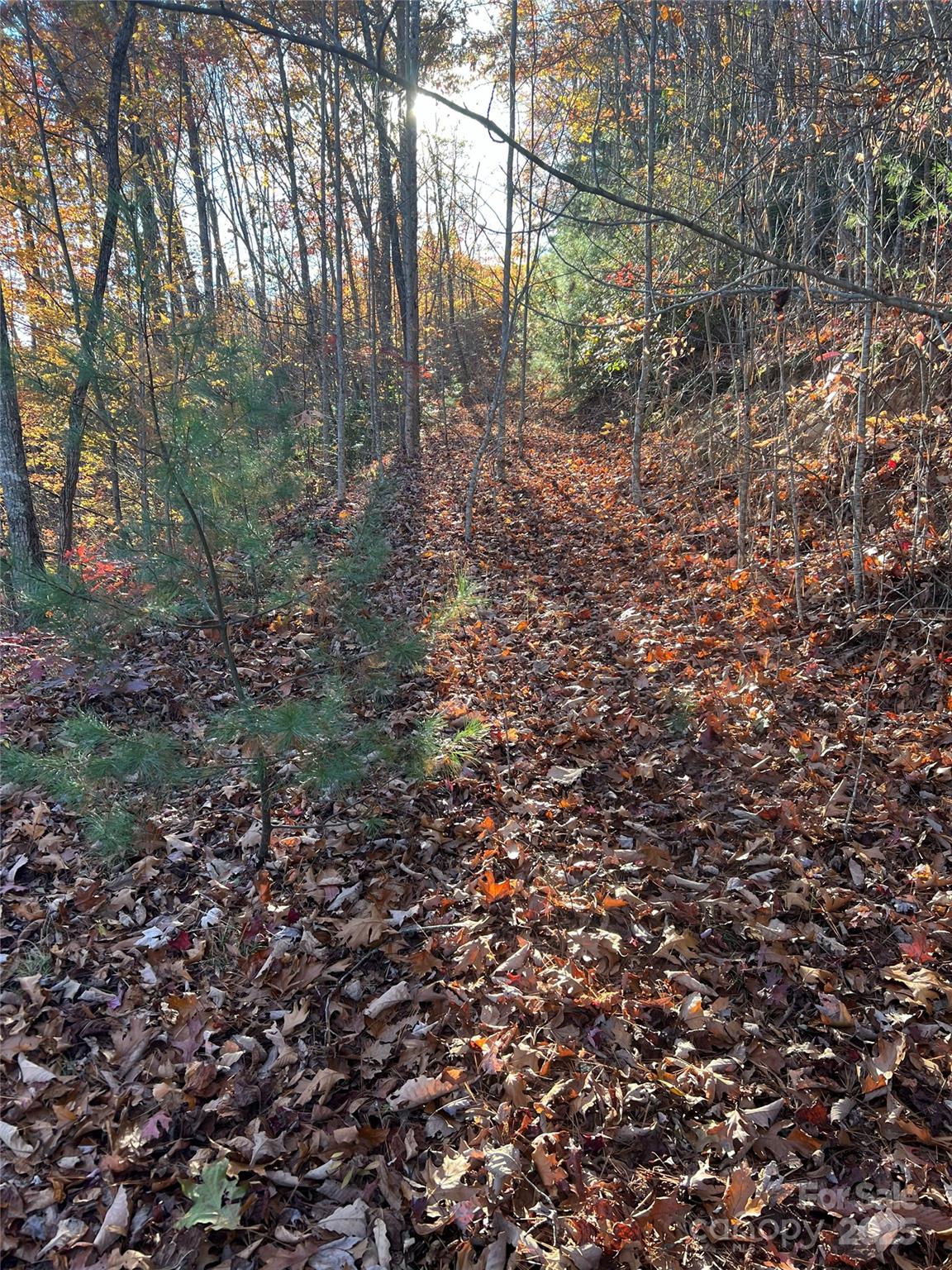 Lot 66 Musket Drive Almond NC 28702