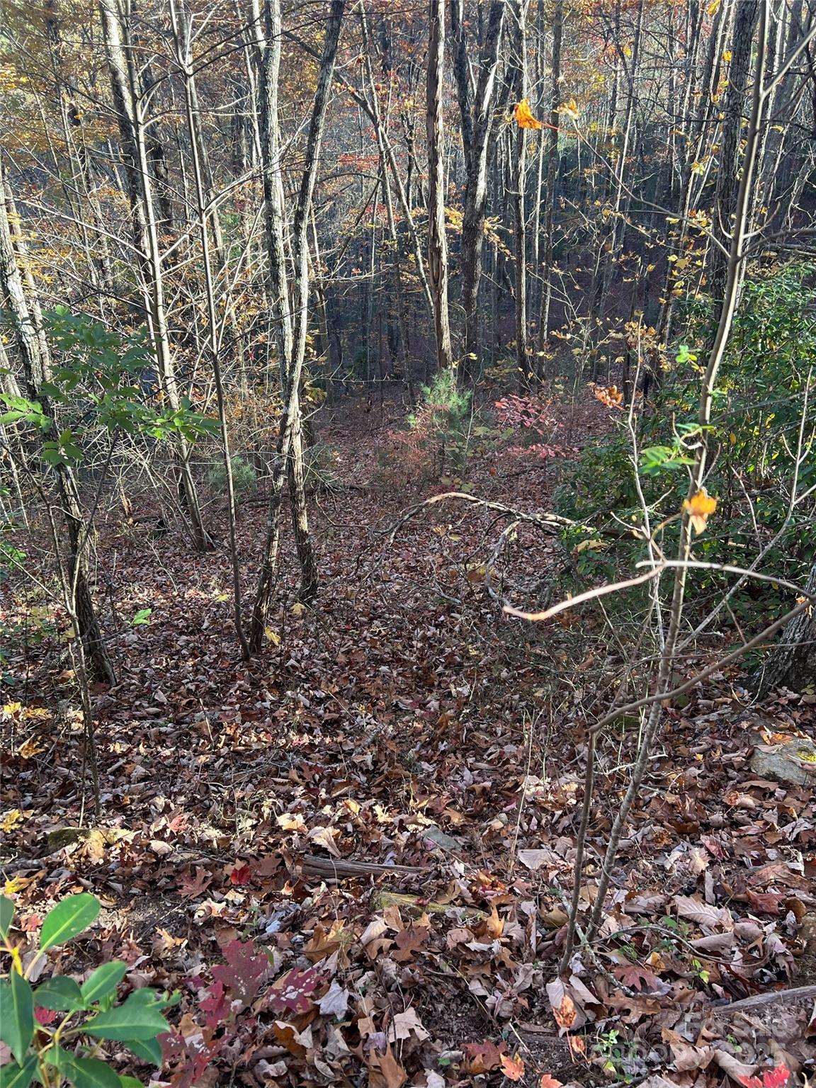 Lot 66 Musket Drive Almond NC 28702