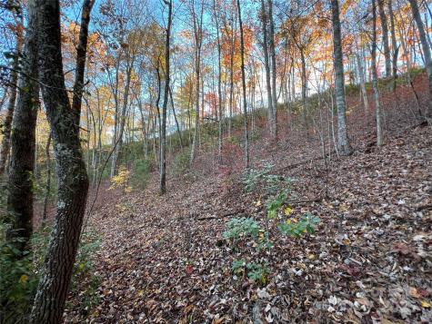 Lot 66 Musket Drive Almond NC 28702