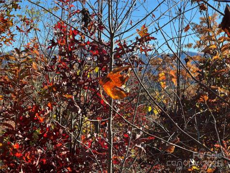 Lot 66 Musket Drive Almond NC 28702