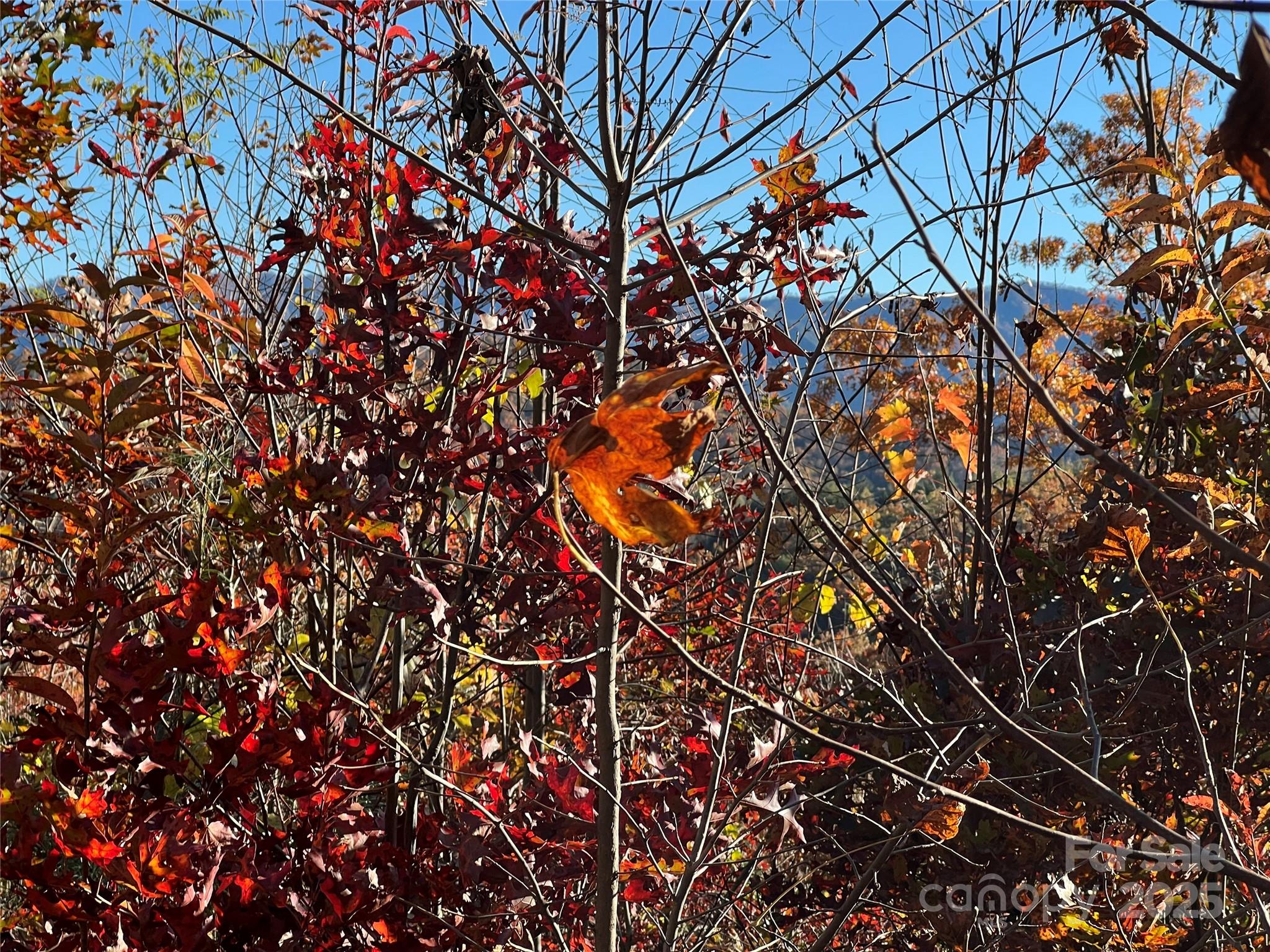 Lot 66 Musket Drive Almond NC 28702
