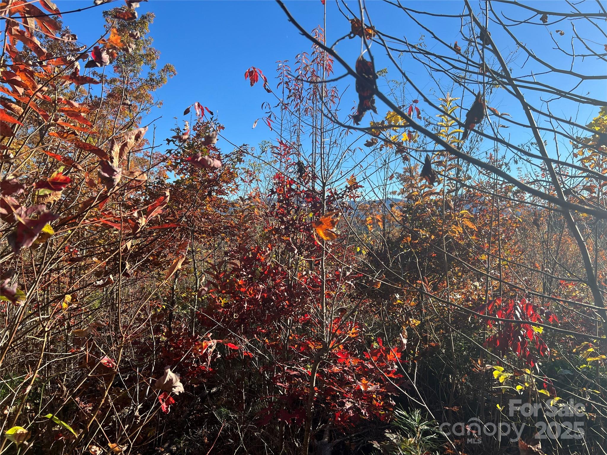 Lot 66 Musket Drive Almond NC 28702