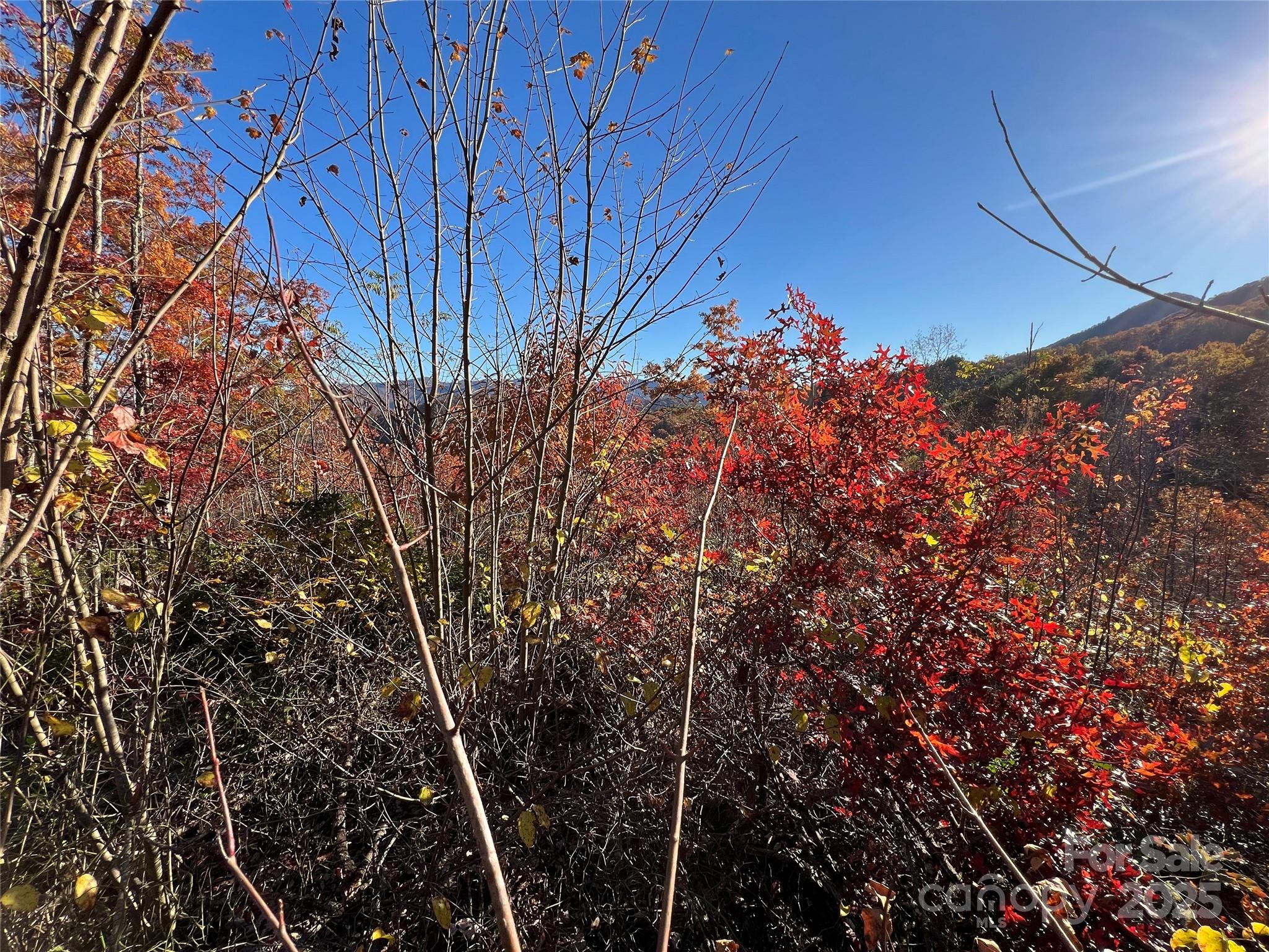 Lot 66 Musket Drive Almond NC 28702