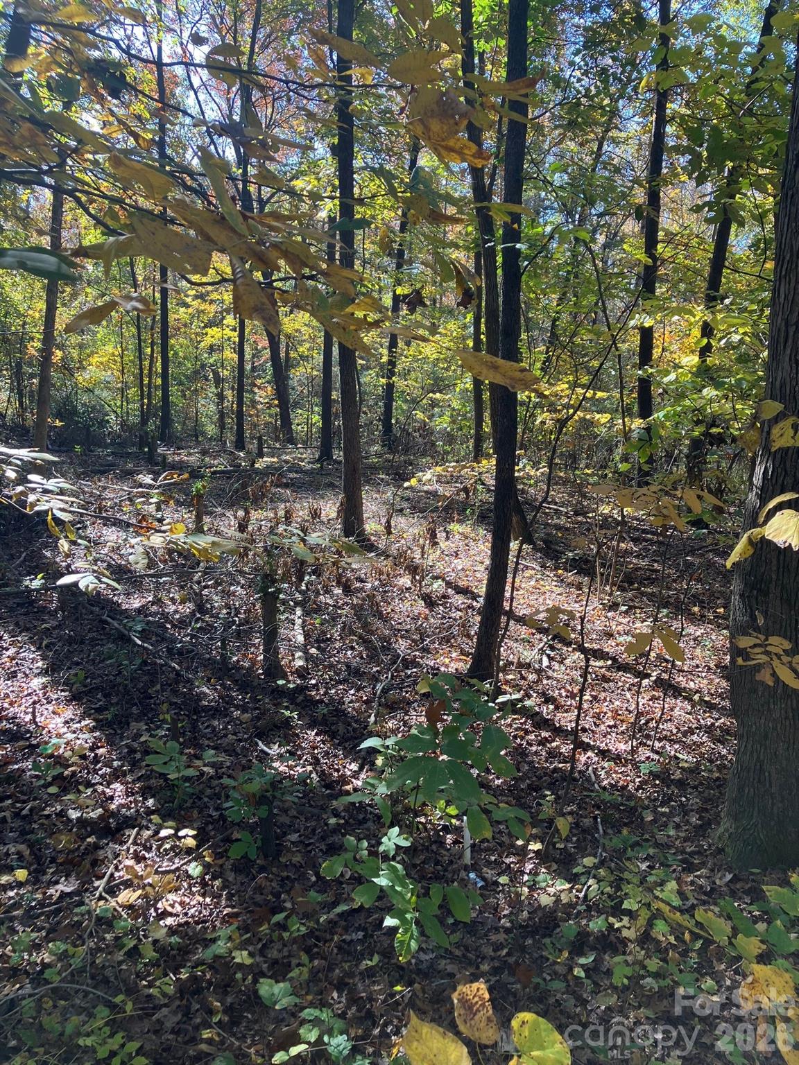 0 Poplar Lane Road Albemarle NC 28001