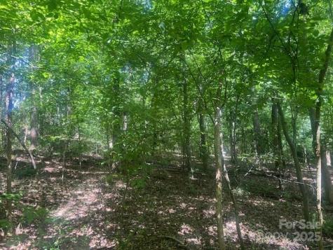 0000 Nc Highway 73 Highway Stanley NC 28164