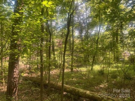 0000 Nc Highway 73 Highway Stanley NC 28164