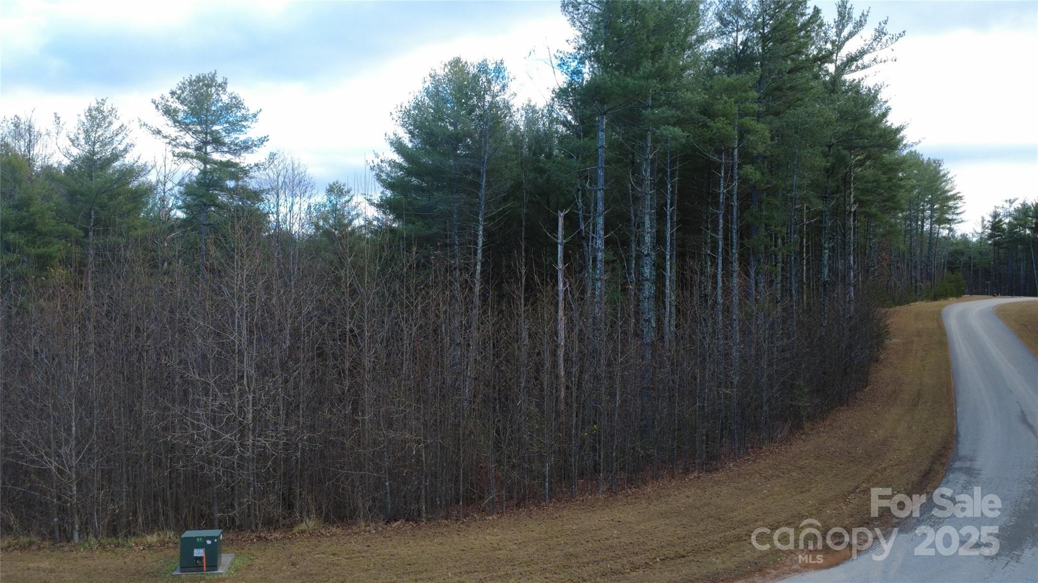 597 Peninsula Reserve Road Nebo NC 28761