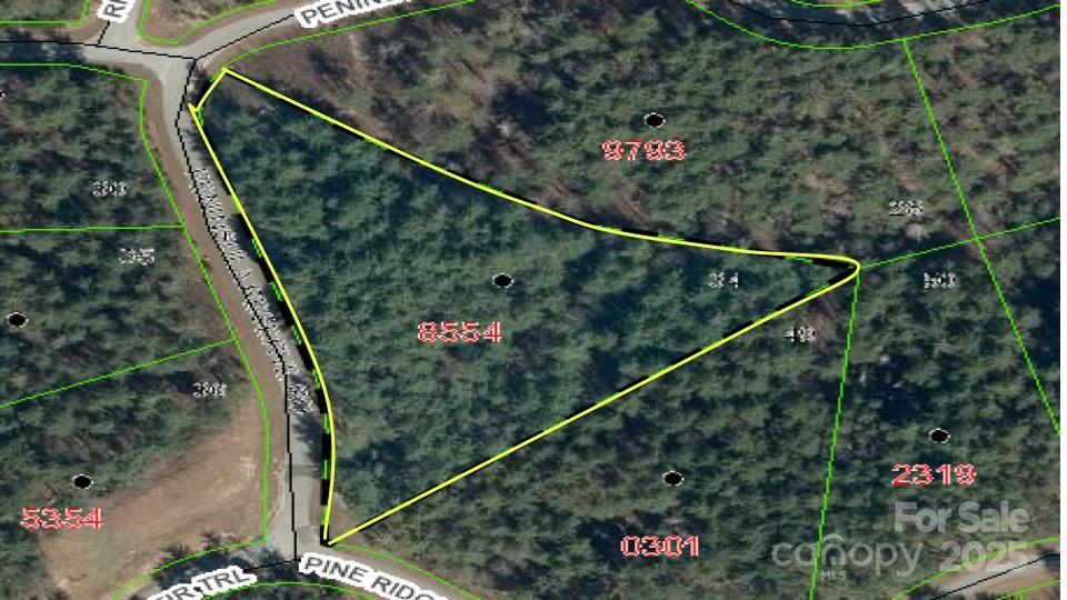 597 Peninsula Reserve Road Nebo NC 28761