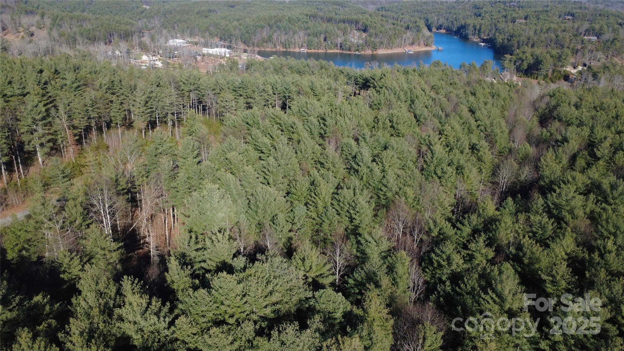 597 Peninsula Reserve Road Nebo NC 28761